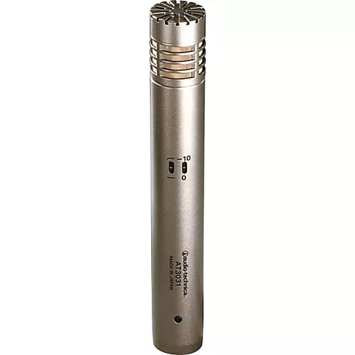 Audio-Technica AT3031