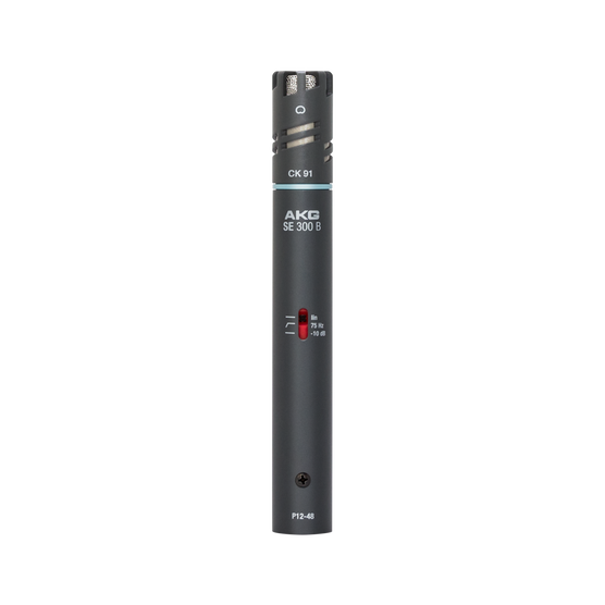 AKG C391 B Condenser with SE300B Preamp
